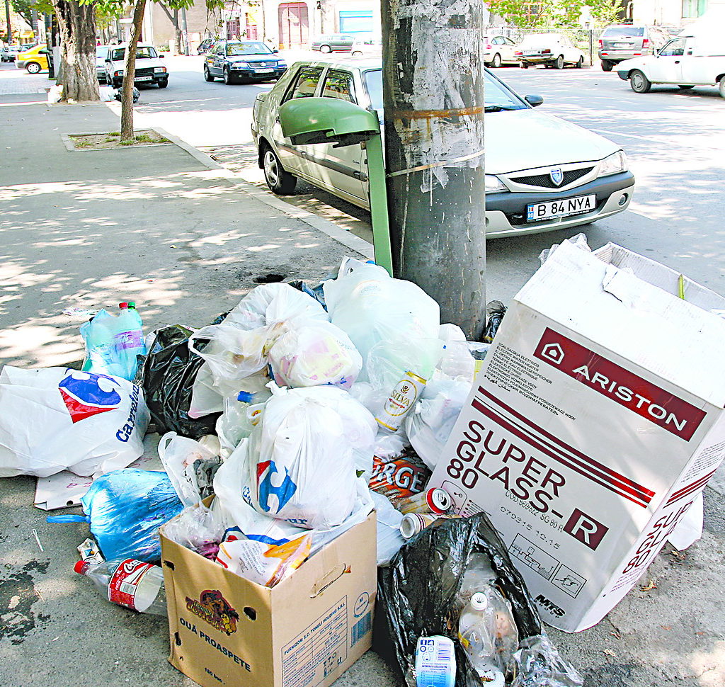 rebu gunoaie neridicate 10 vt