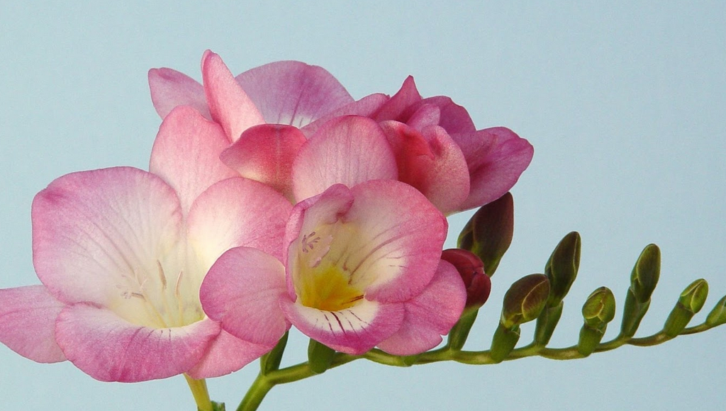 Screen Shot 2014 03 08 at 09.28.03