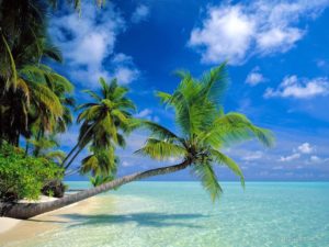 Maldives 21