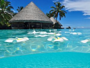 Maldives 7
