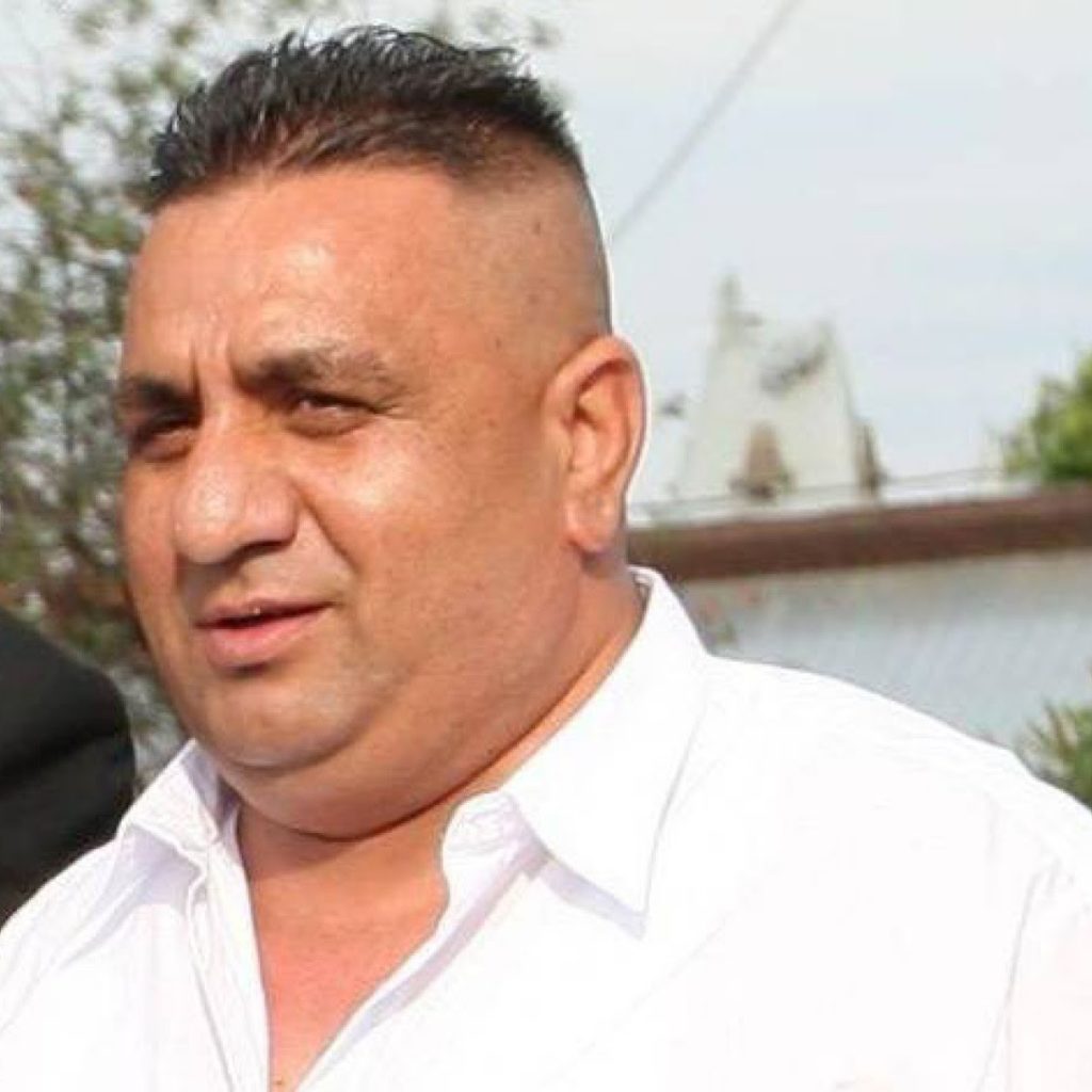 reactia rudelor lui bercea