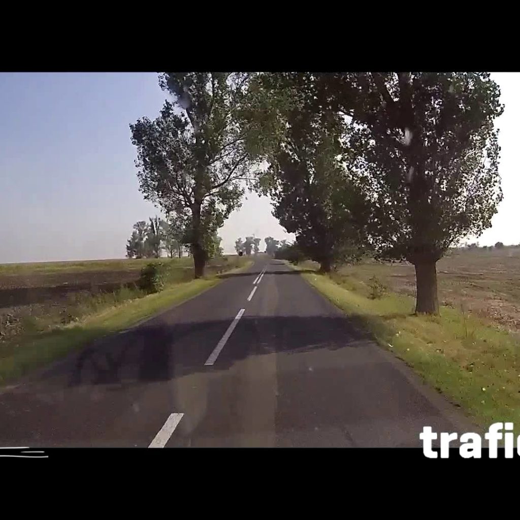 motive pentru care au murit eroi