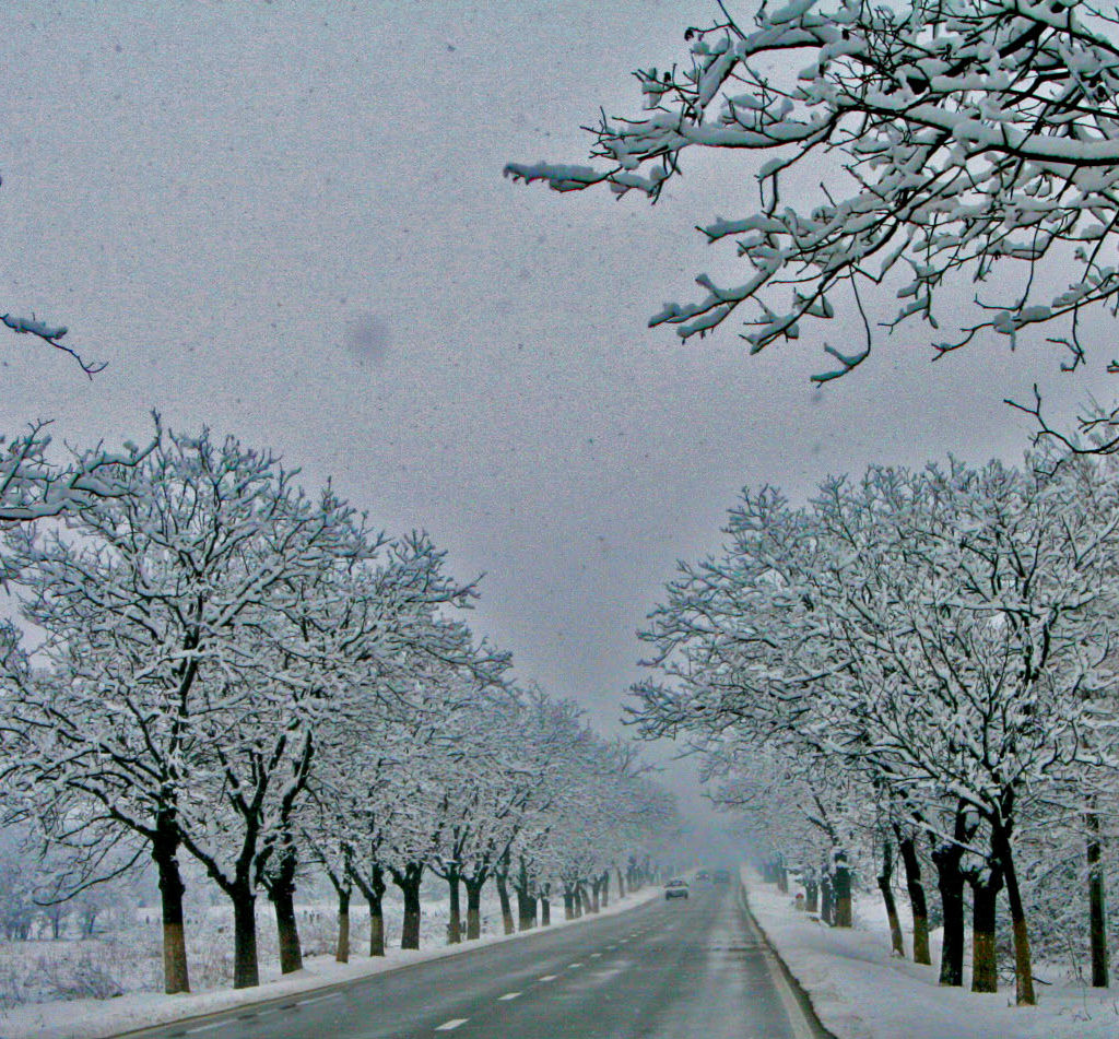 revelion in bucovina06
