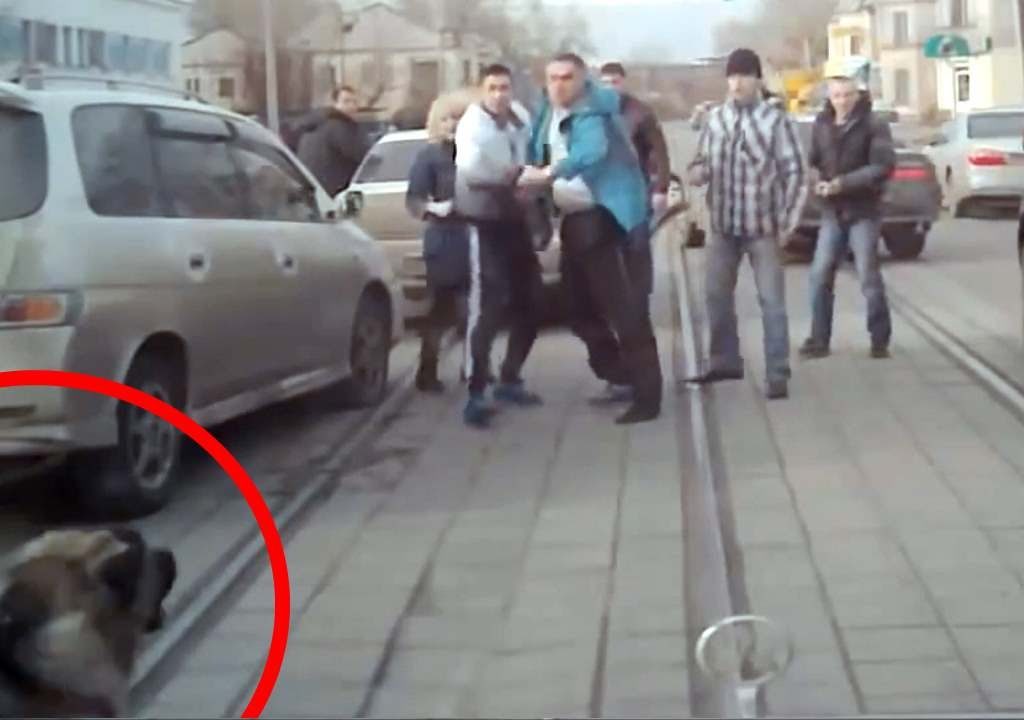 de ce ne injuram in trafic