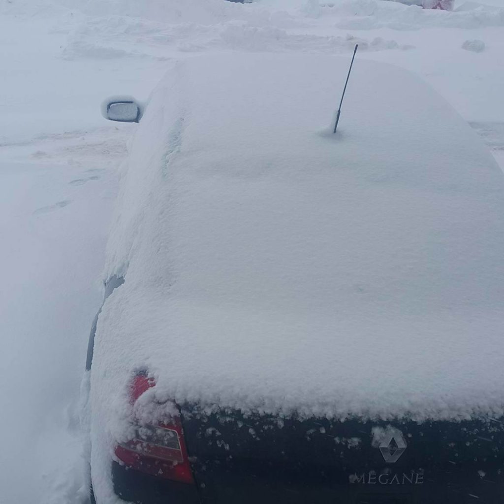 12562540 1729036530660681 115502555 o