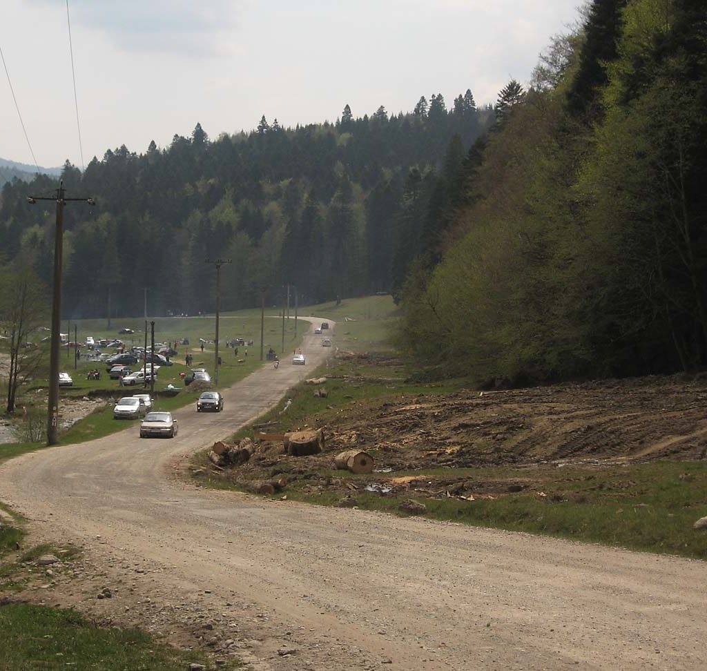 valea cerbului busteni gura diham