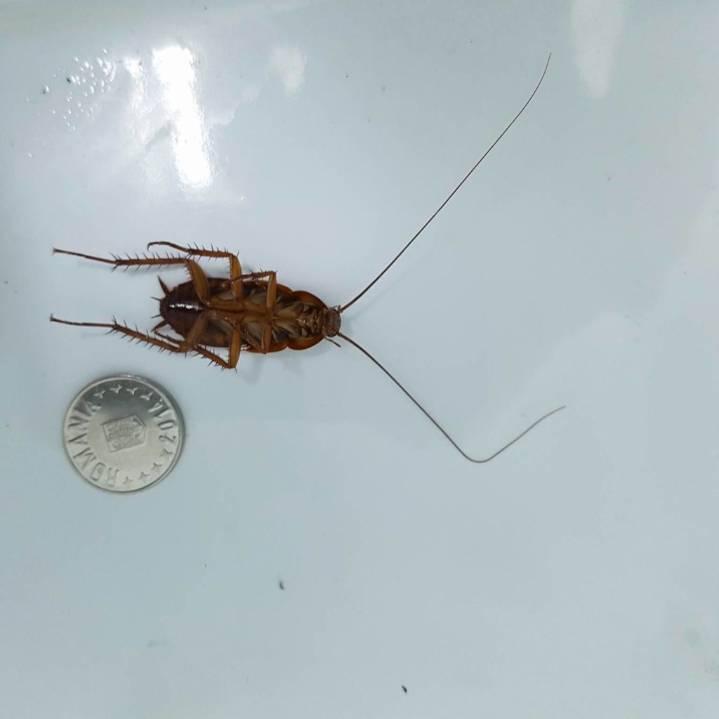 13262079 199539807106067 1579717482 o