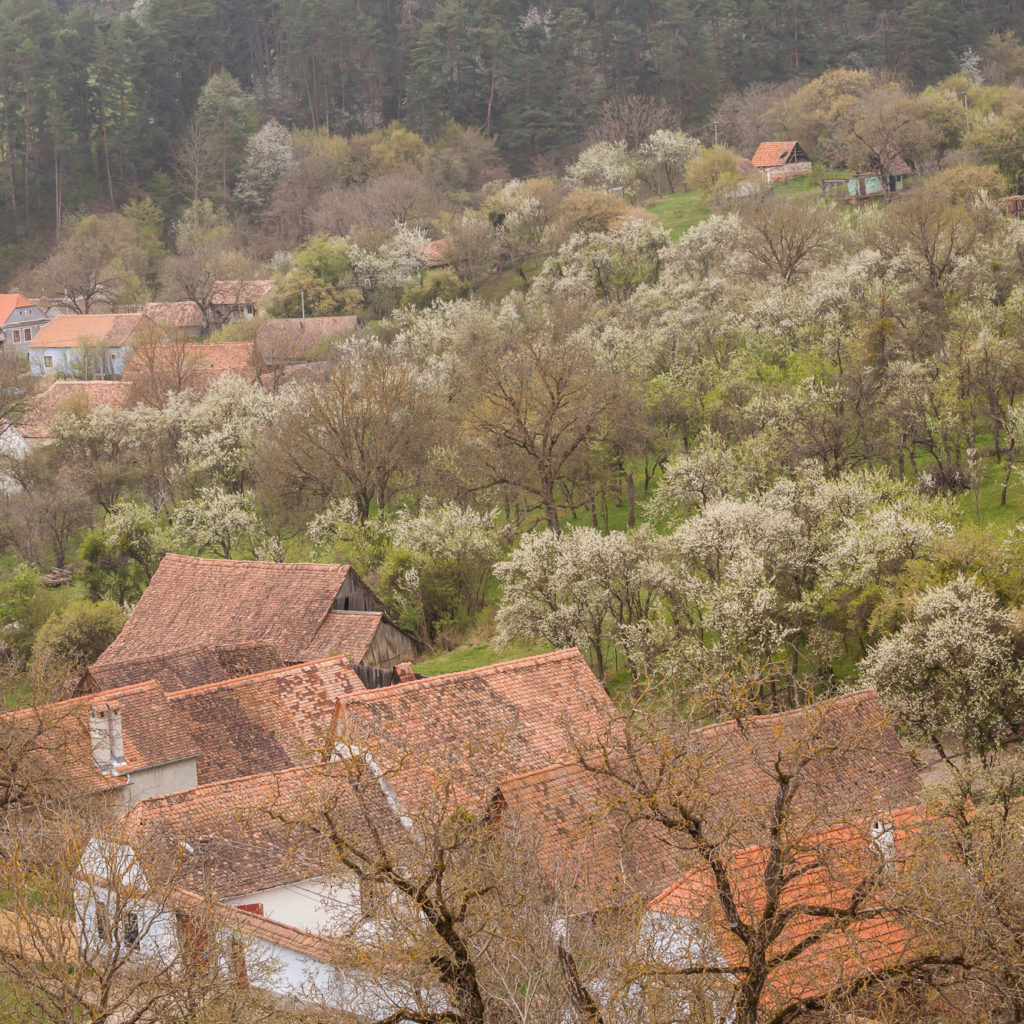 drumul cetatilor ultimul drum 19