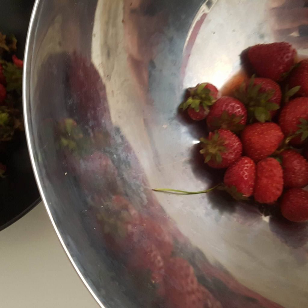 satul romanesc trebuie sa dispara