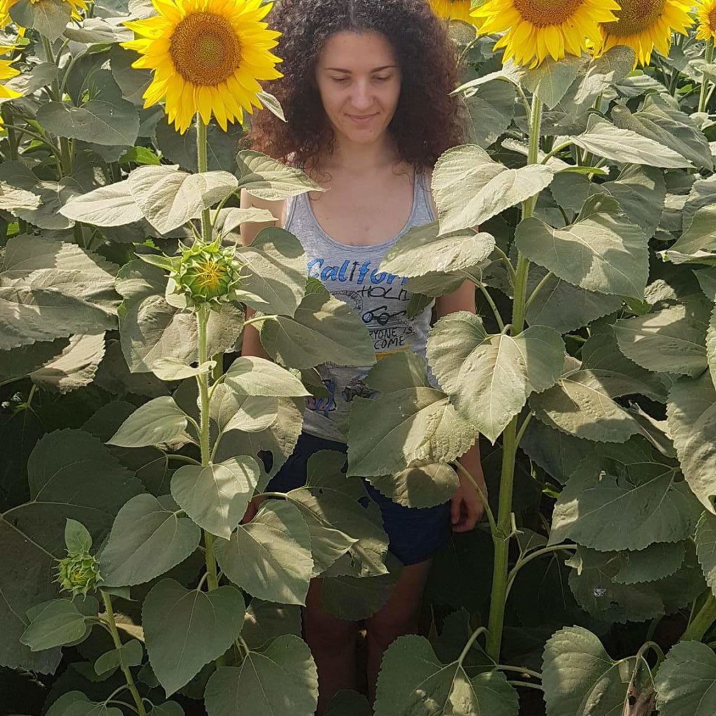 received 1796288340602166