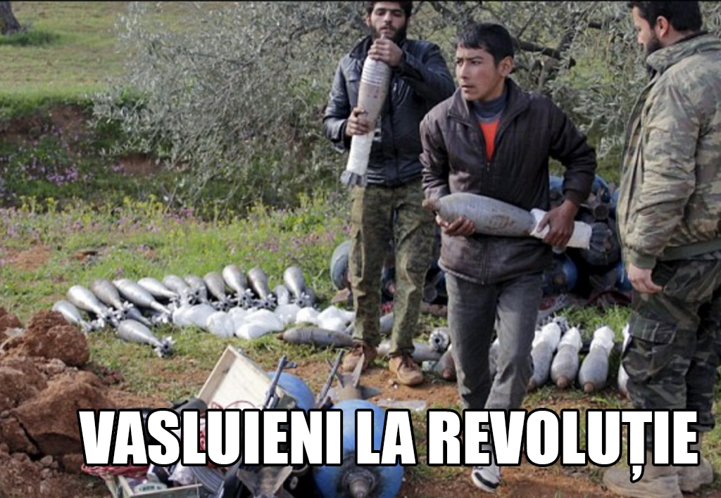 VASLUIENI LA REVOLUTIE