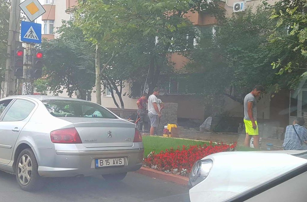 robert negoita punand pavele