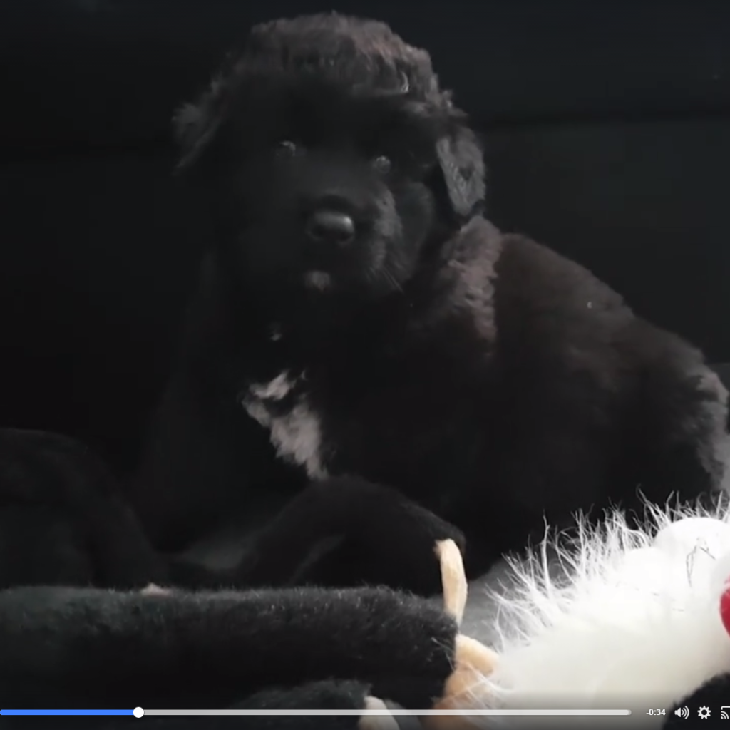 chrome 2016 10 18 12 28 57