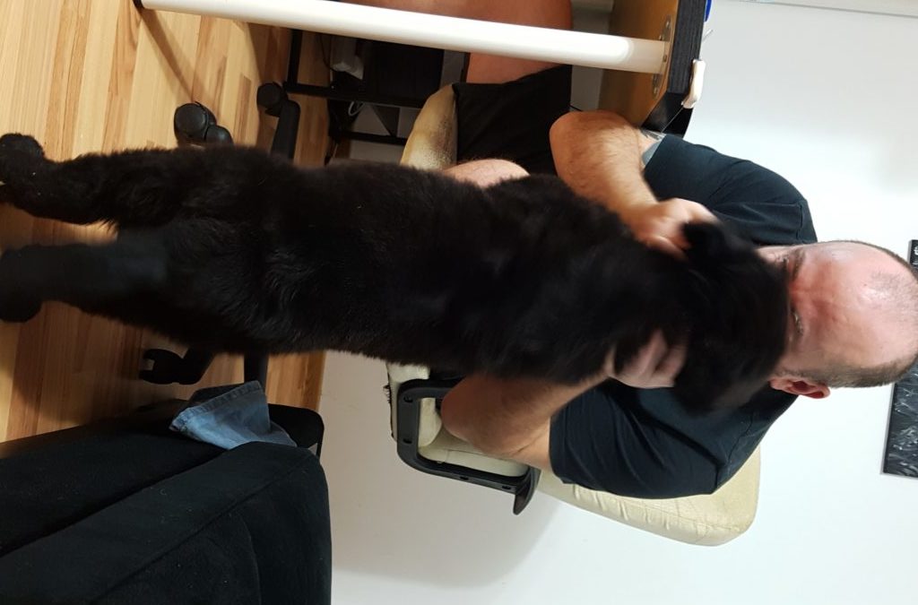 20161110 162510 e1478899949601