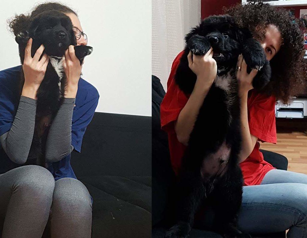 igor diferenta de 27 de zile