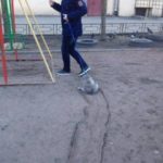 Ce a mai fost distractiv în 2016 52