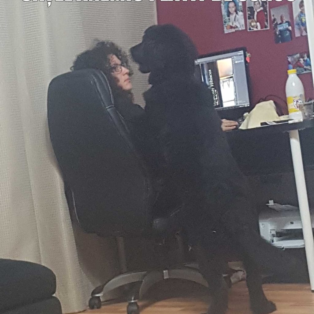 CATEL ANEMIC PLATIT DE SOROS