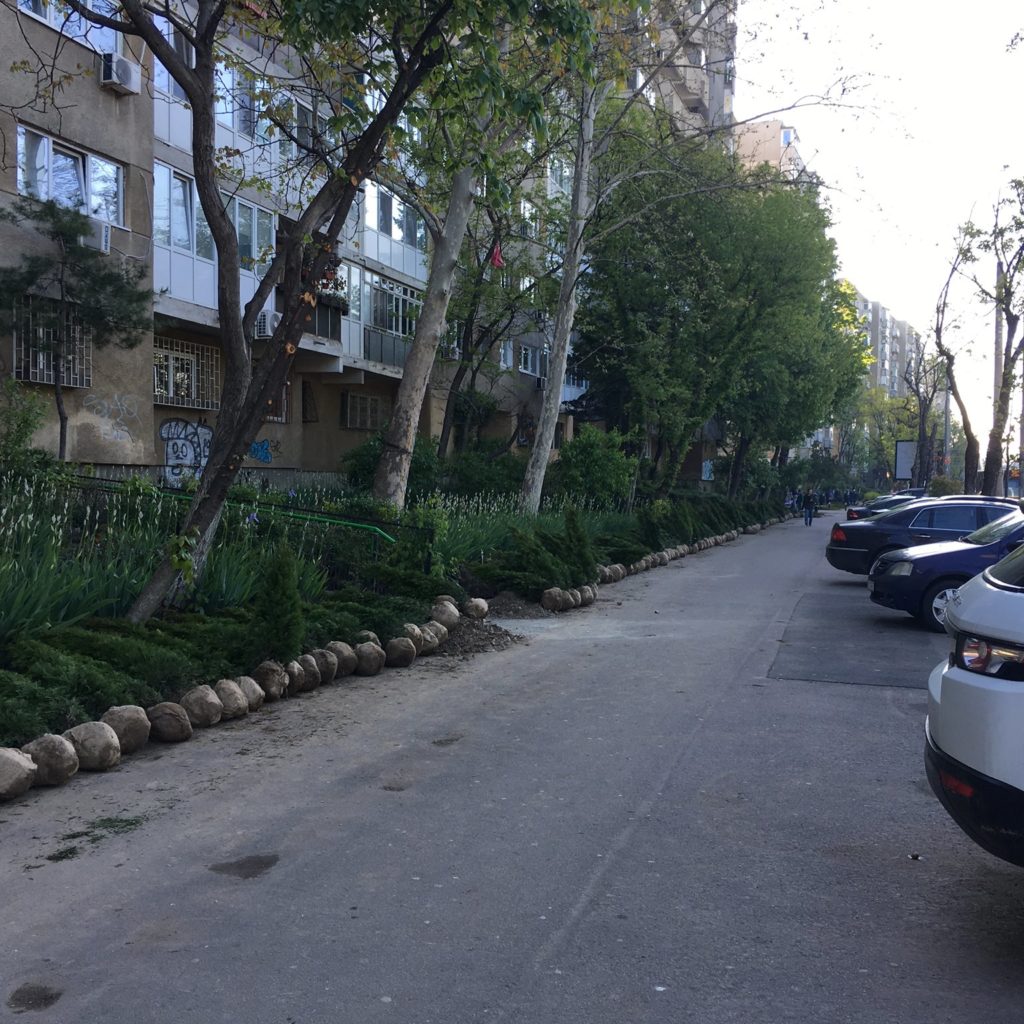 tuia gard viu sectorul 4 3