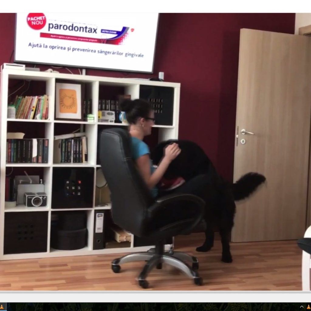 vlc 2017 04 27 13 26 48