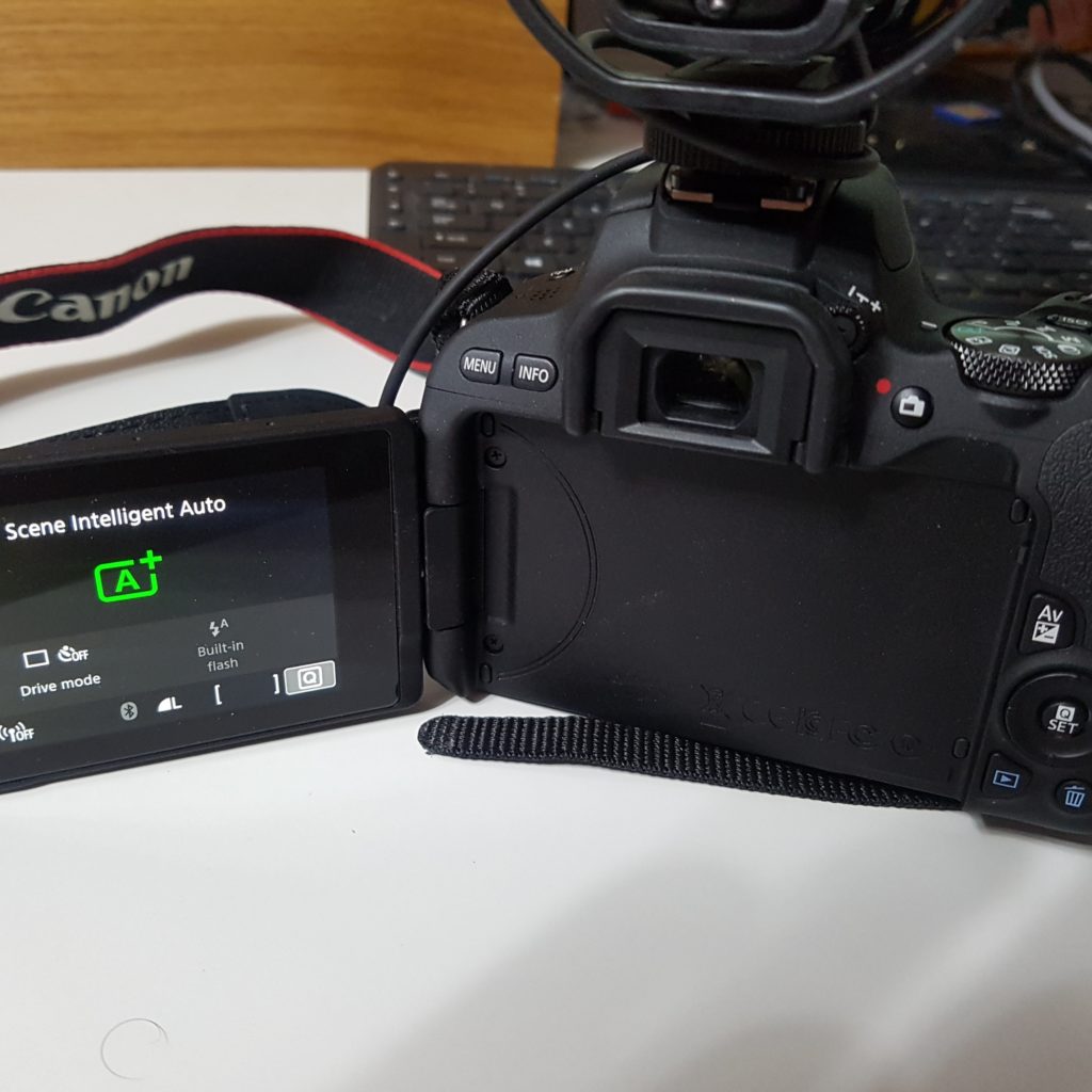 canon 200D rode videomic pro 5