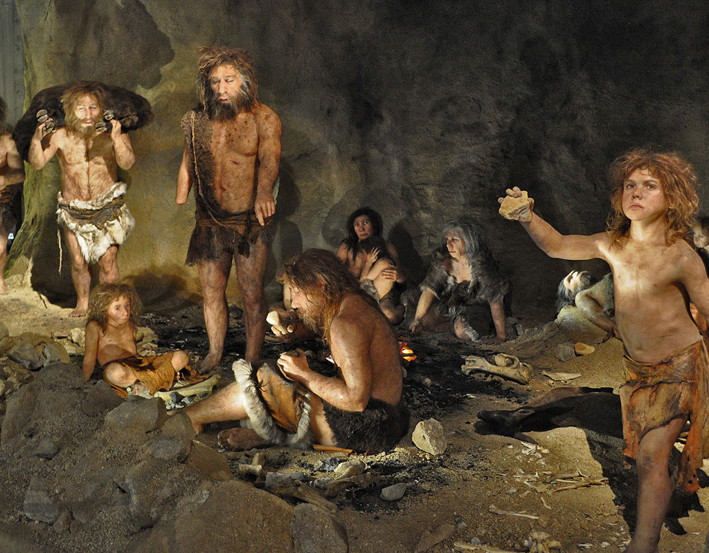 romanii sunt niste salbatici