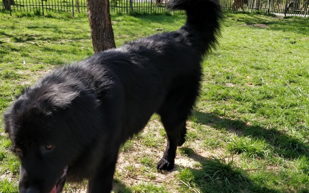 IMG 20180410 153310 021