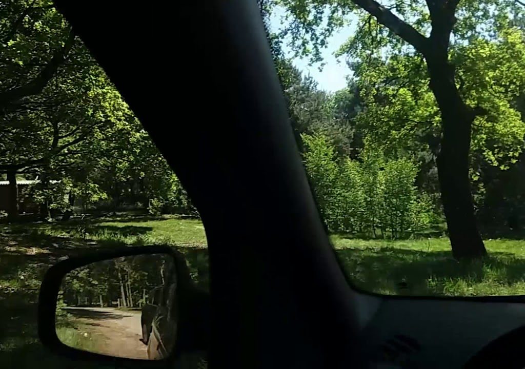 ca sa nu spuneti ca doar romanii