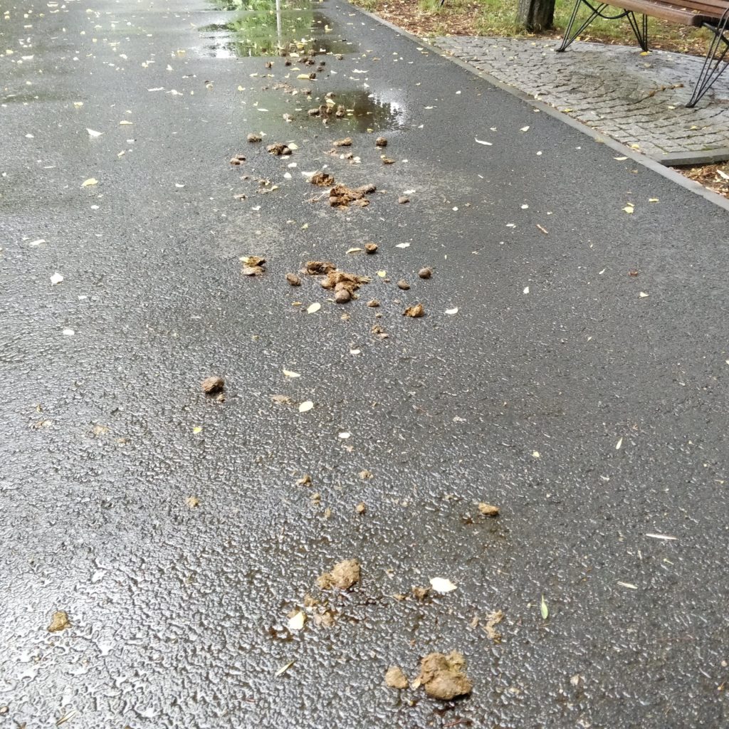 politia calare parc pantelimon 5