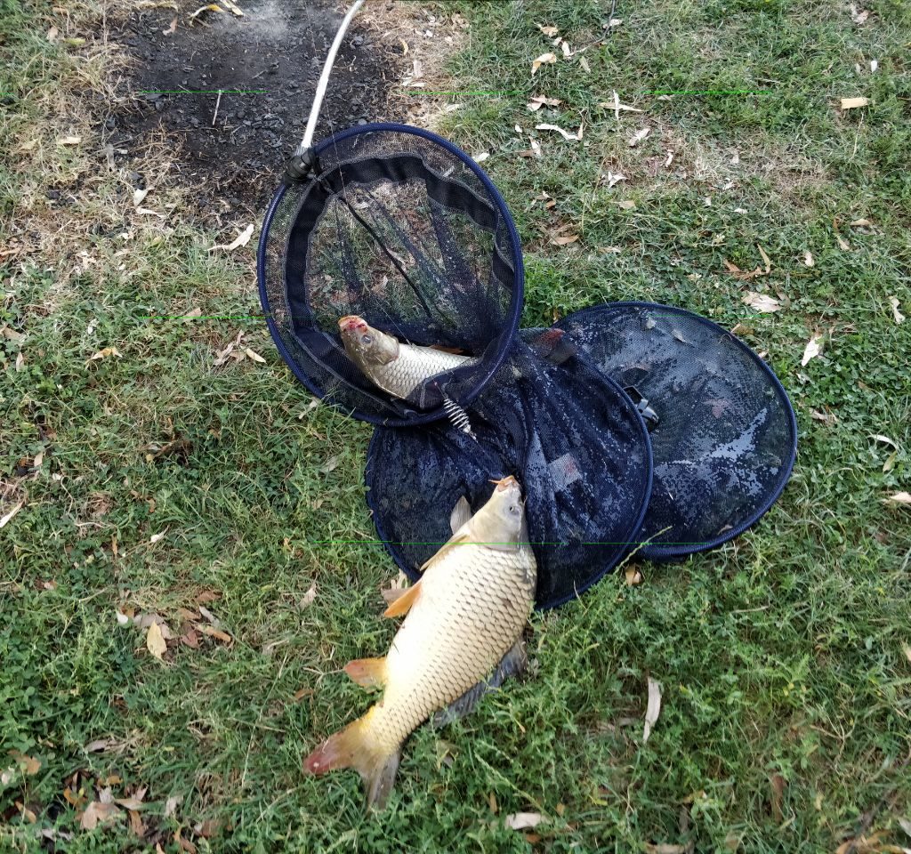 IMG 20180904 180345 236