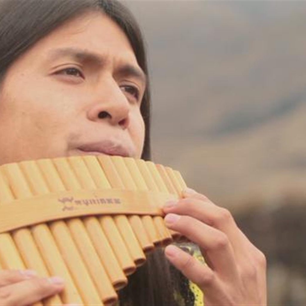 catharsis cateodata as vrea sa p