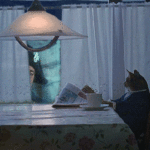 Gifs with an unexpected continuation 27 gifs 16