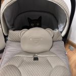 Cum să alegi corect un căruț de bebe 7