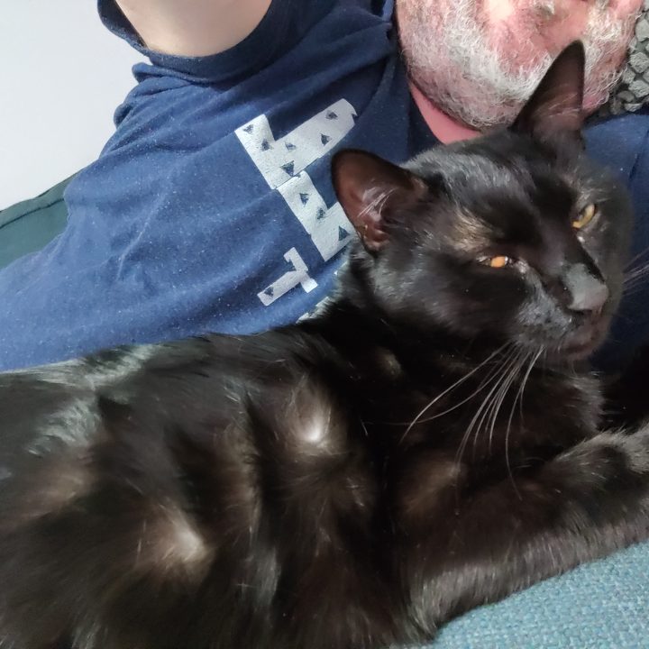 IMG 20200127 213151 scaled