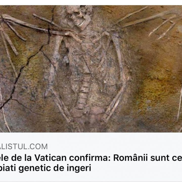 romanii sunt ingeri
