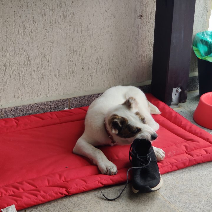 IMG 20200520 104002 scaled