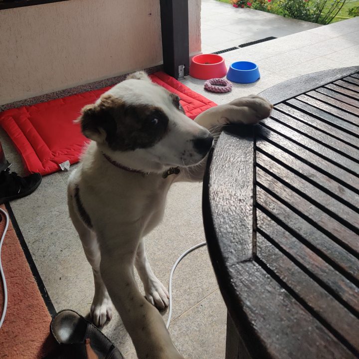 IMG 20200524 093220 395 scaled