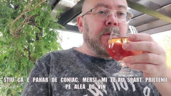 Taster de Vin si Rom