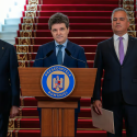 Nicu Șordan, președintele trandafirilor noștri