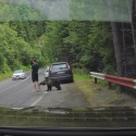 Selecția naturală trebuie lăsată să își urmeze cursul
