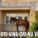 De ce e bine, câteodată, să iei si decizii grăbite