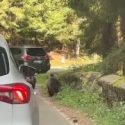 Viața este dificilă